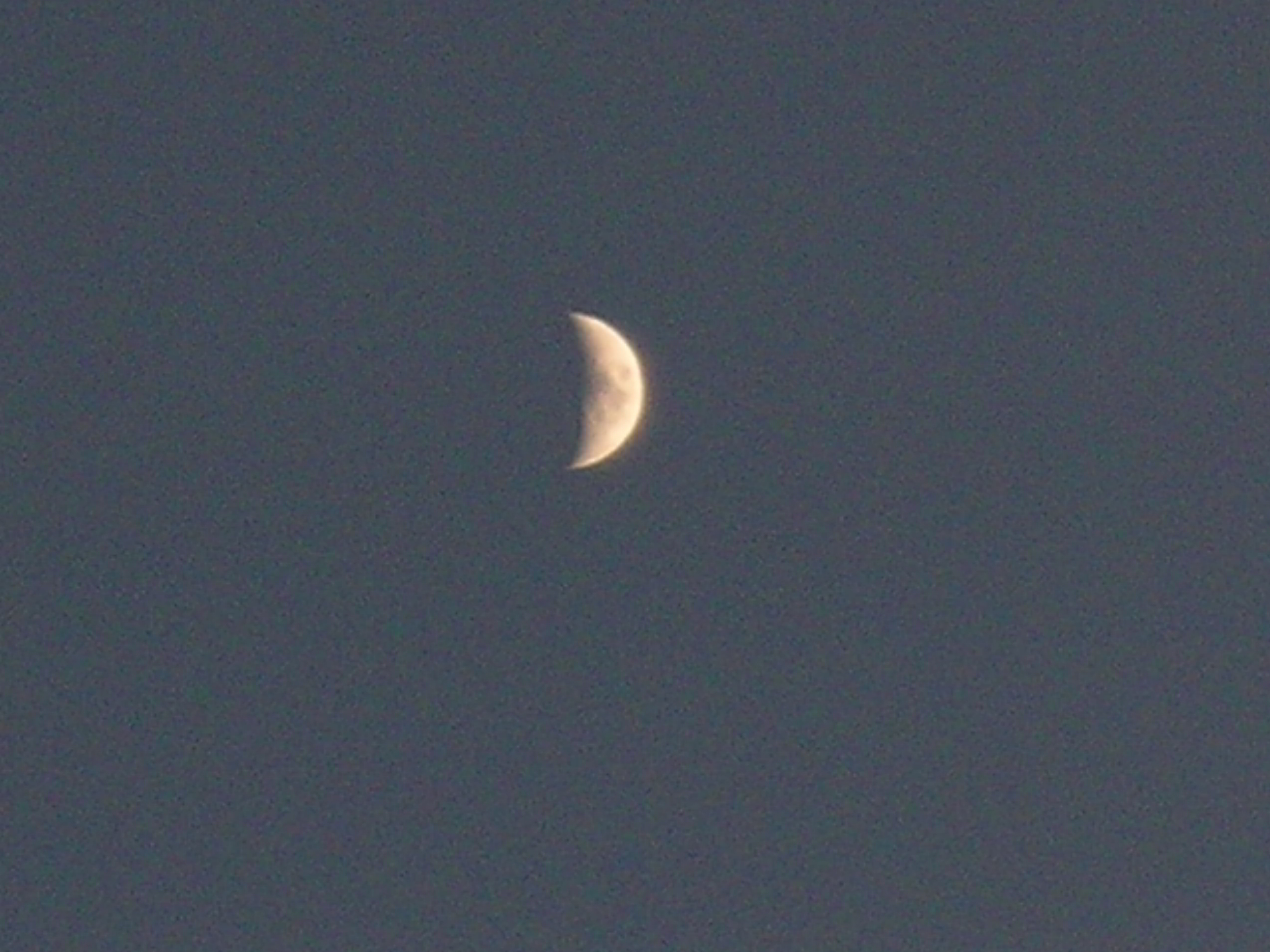 DSCN1241