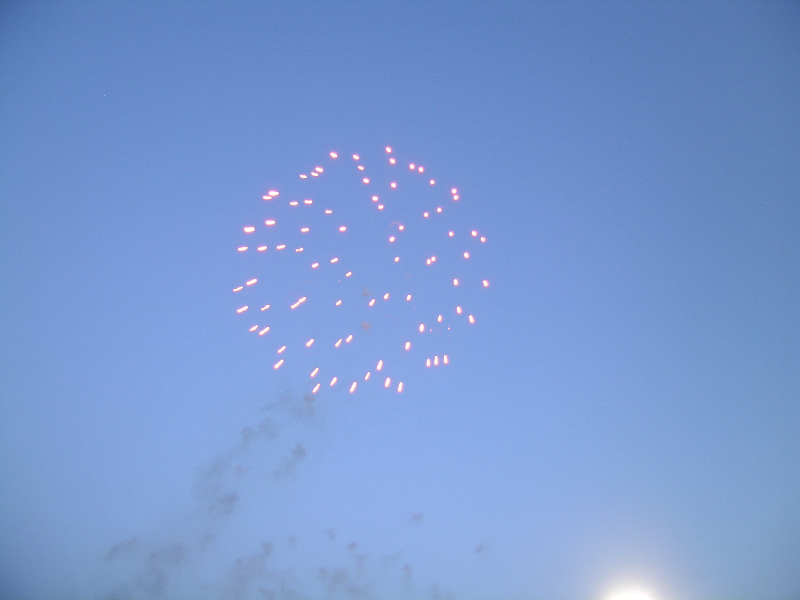 DSCN1246