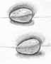 Eggs drawing