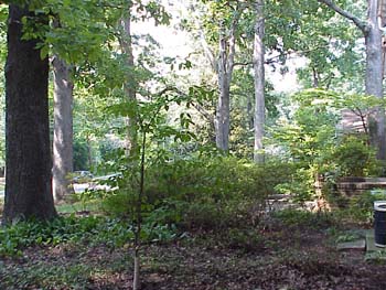 mvc.1